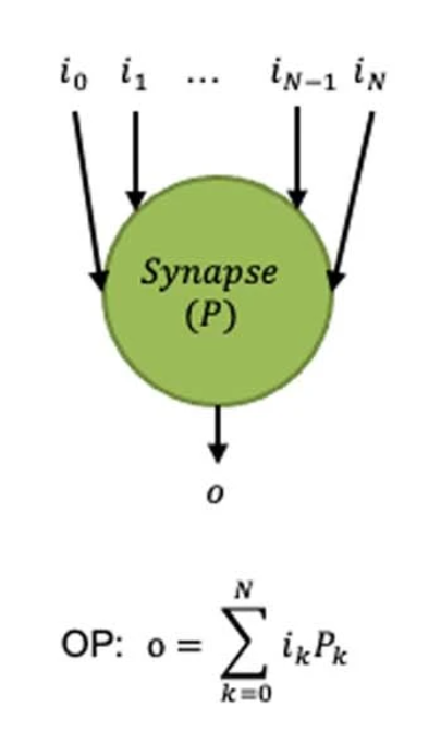Synapse